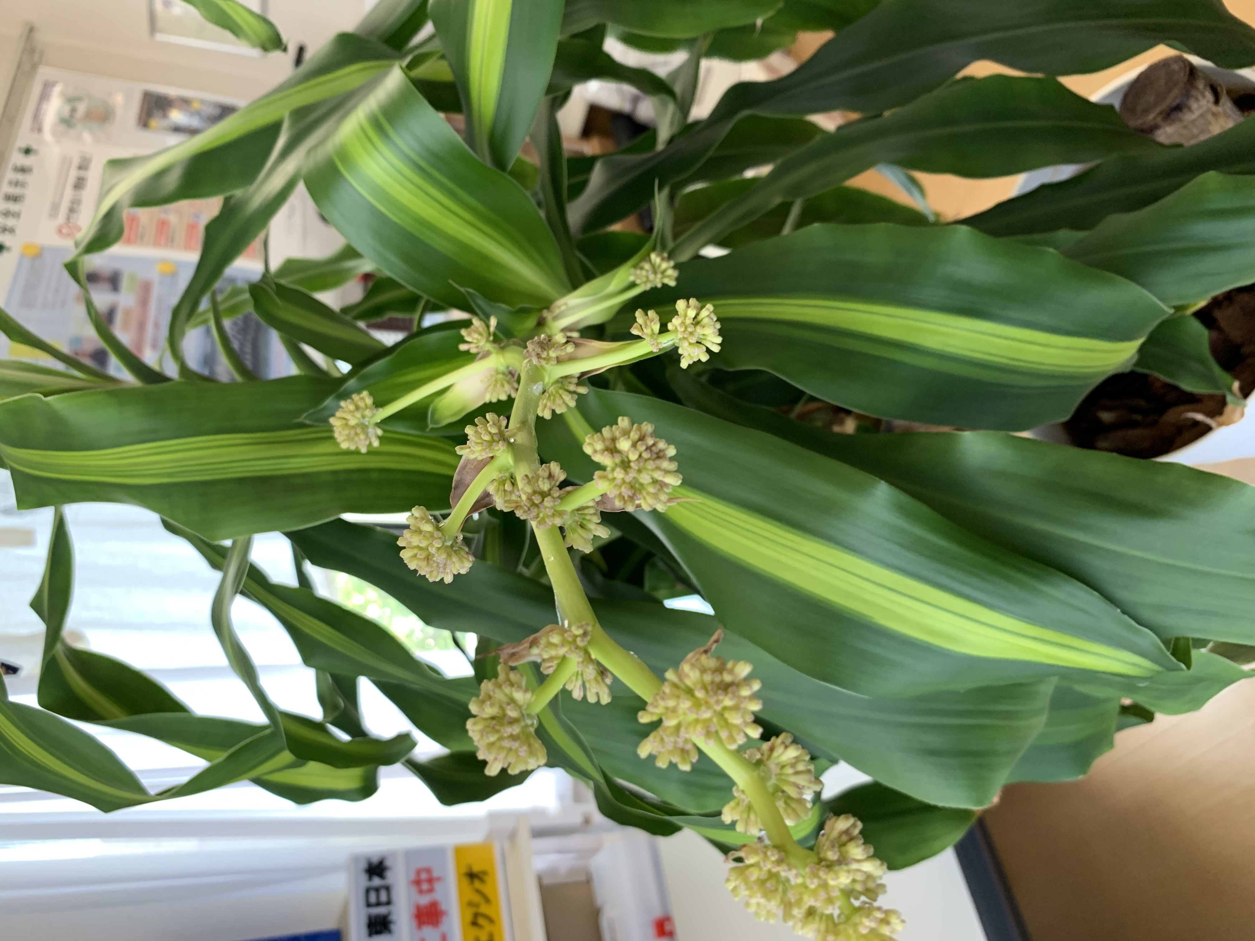 川田電設府中事務所にて