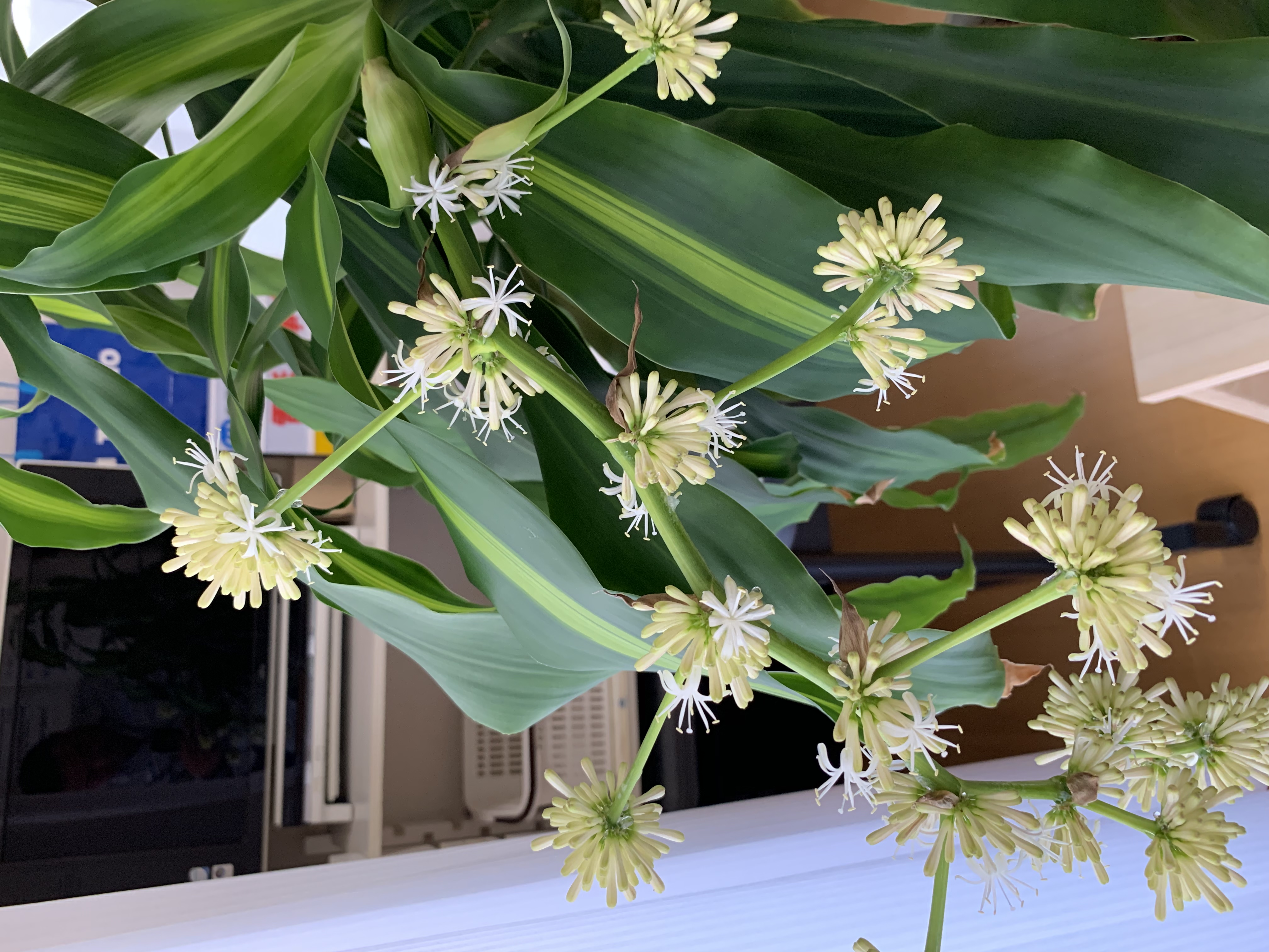 川田電設府中事務所にて(続)