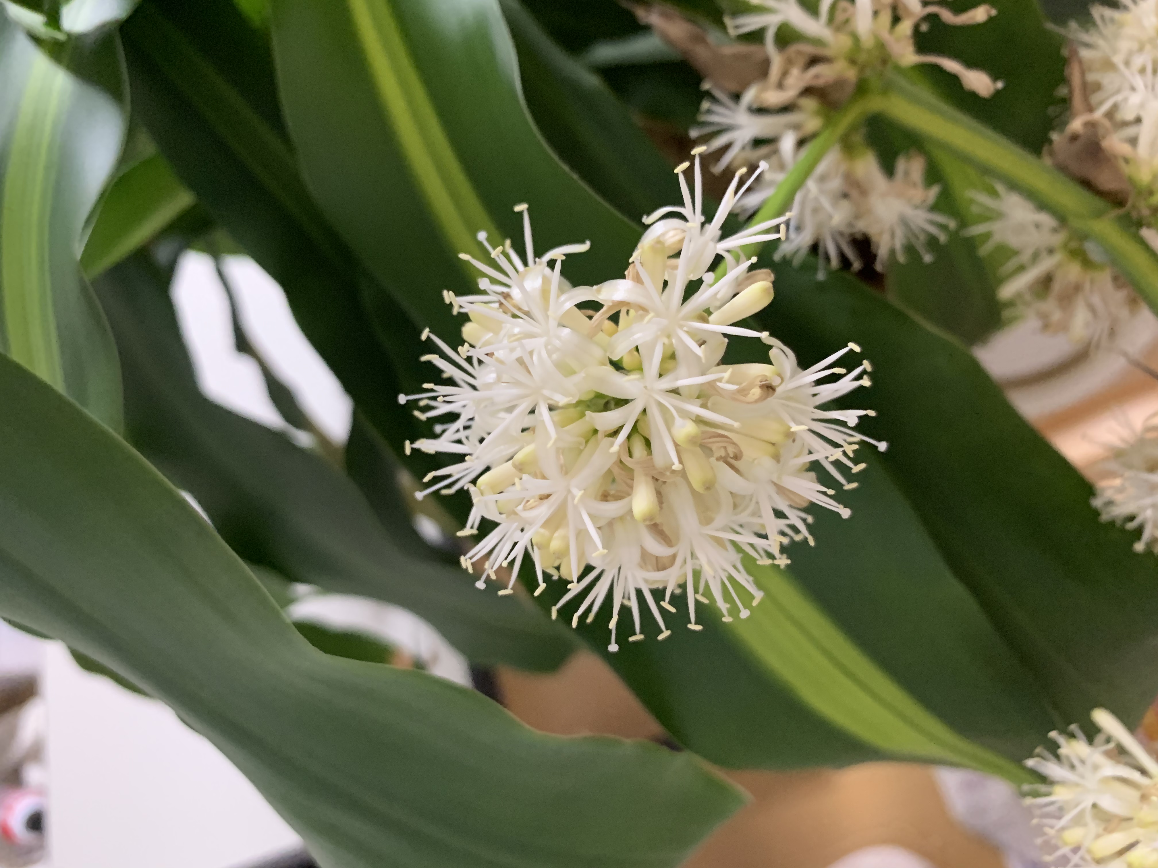 川田電設府中事務所にて(続々)